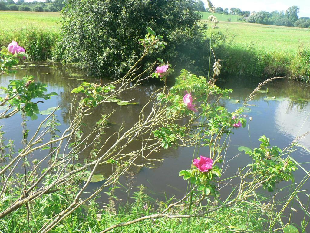 Trevieres Gite De L'Aure מראה חיצוני תמונה